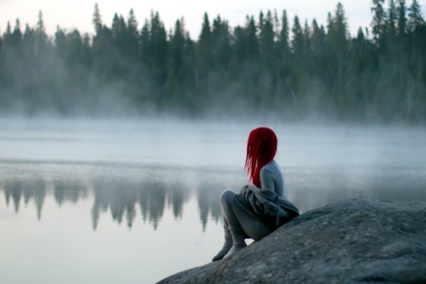 Летняя природа