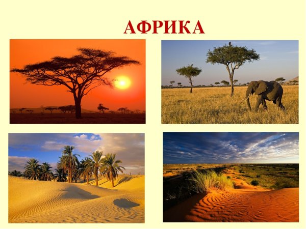 Природа материка Африка