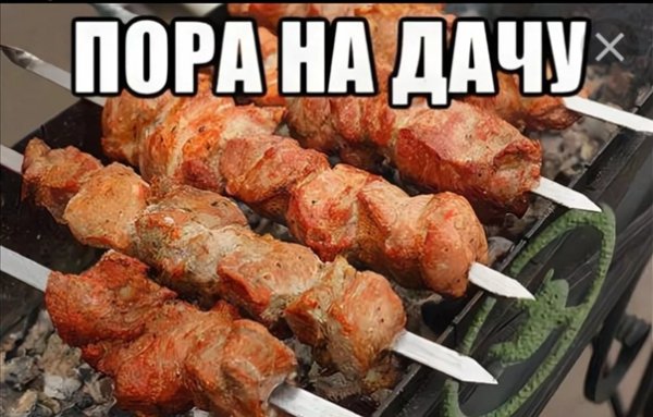 Шутки про шашлык