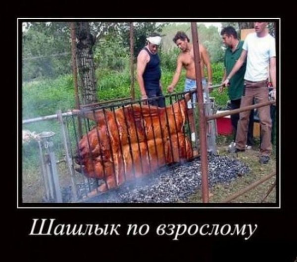 Шашлыки под дождем приколы