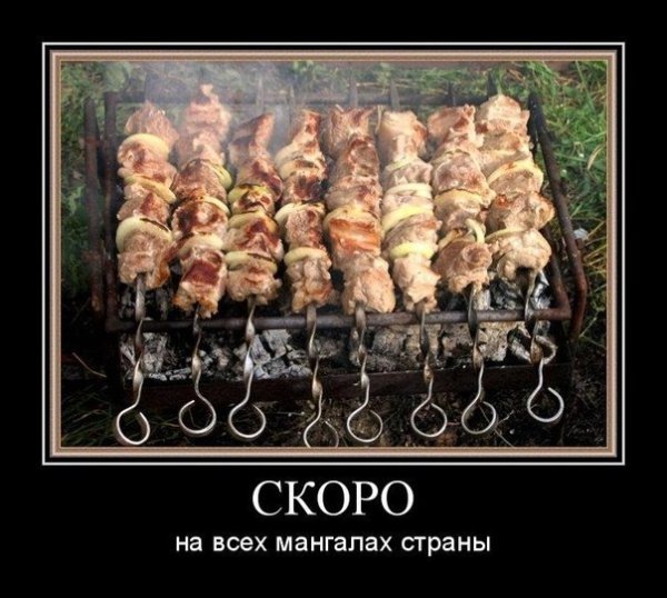 Жирный шашлык