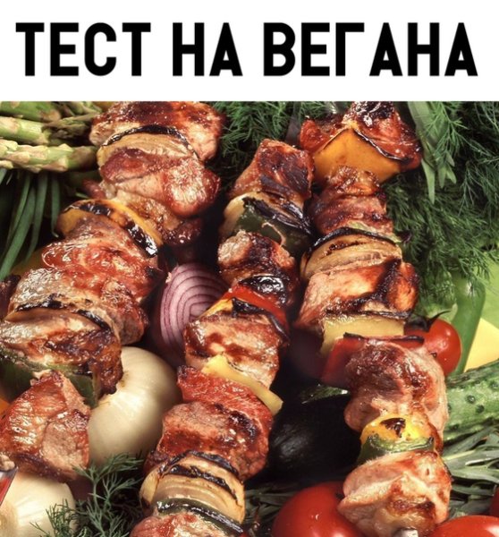 Приколы про отдых на природе