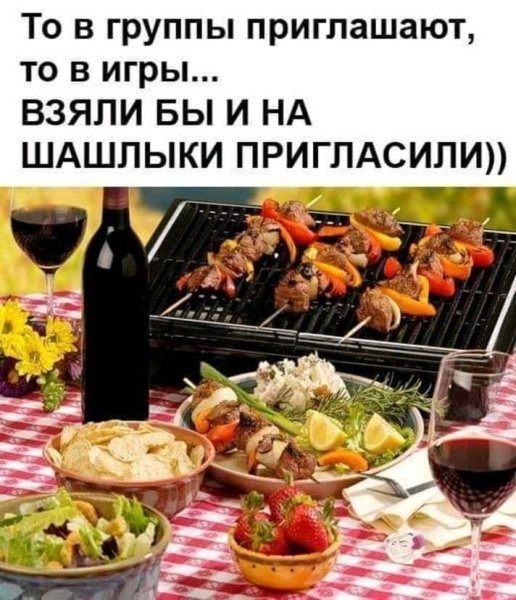 Приколы про шашлыки на природе