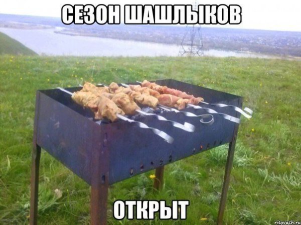 Фото с шашлыком прикольные