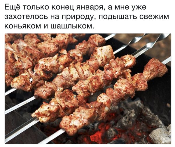 День шашлыка