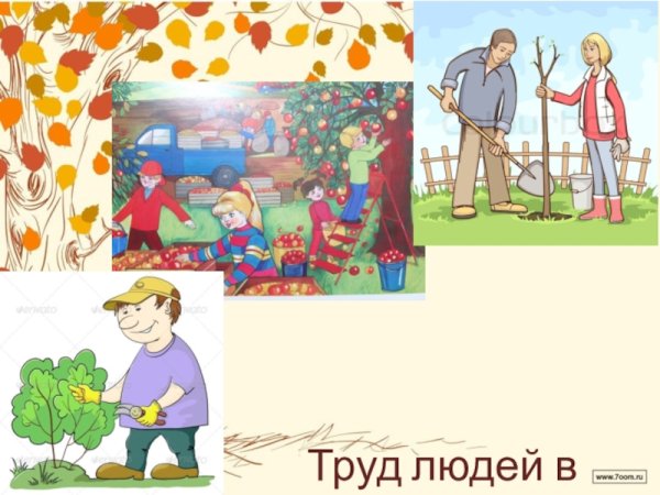 Труд людей летом