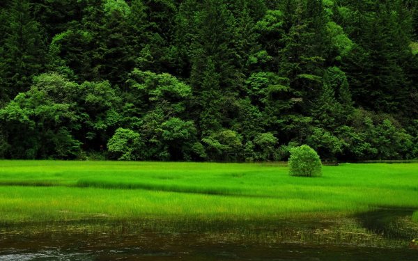 Водопад Куршунлу Турция