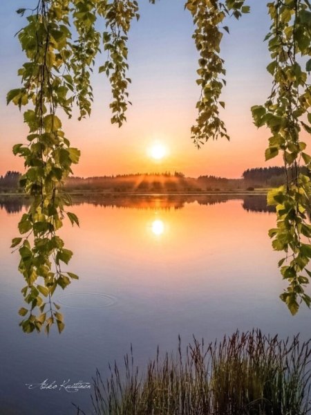 С дрбрымиутром природа