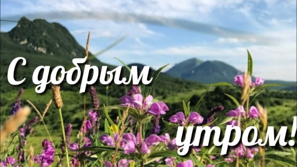 Пожелания с добрым утром в горах