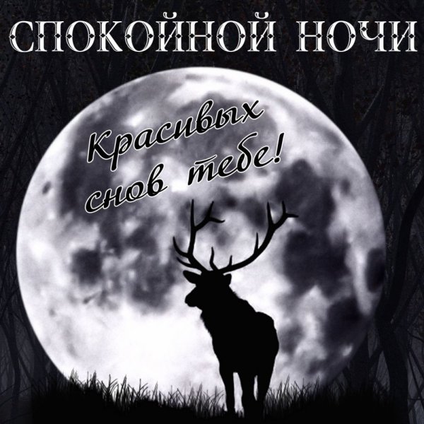 Открытки спокойной ночи