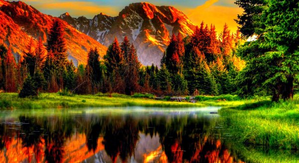 Природа вертикальные
