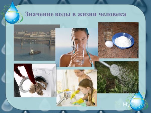 Значение воды в жизни человека