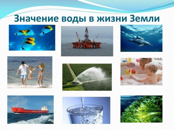 Значение воды в жизни