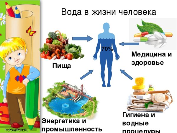 Вода в жизни человека