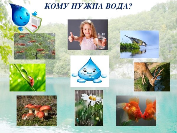Кому нужна вода