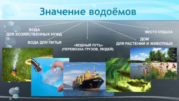 Использование водоемов человеком