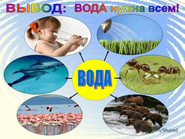 Коллаж вода источник жизни