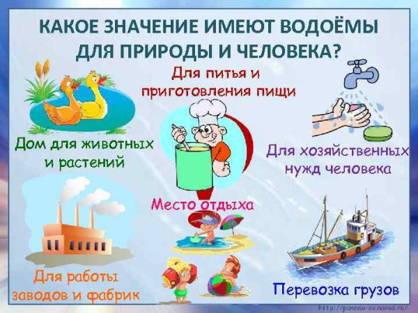 Значение водоёмов для природы и человека