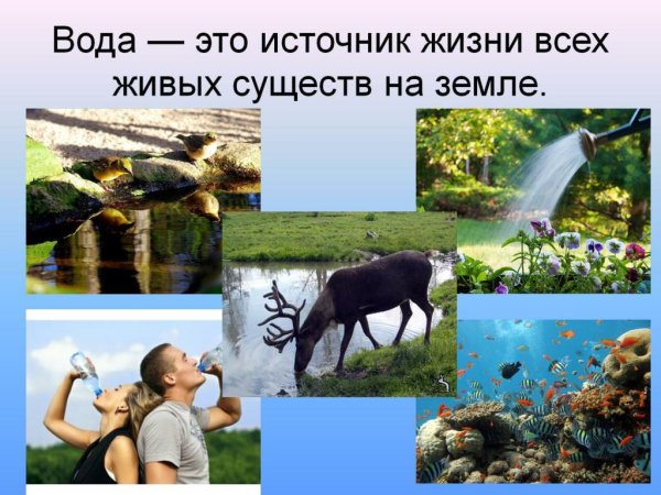 Вода это жизнь
