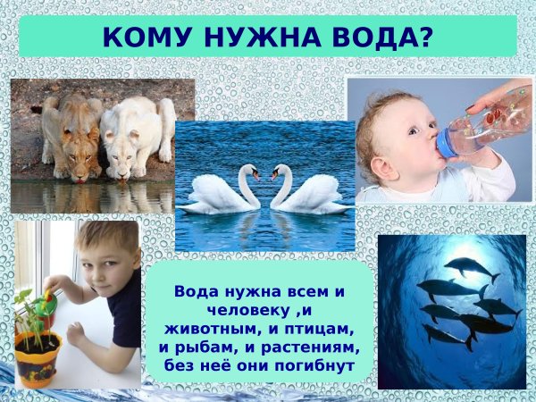 Вода для дошкольников
