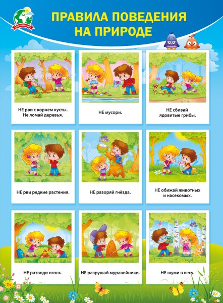 Правила проведения на природе