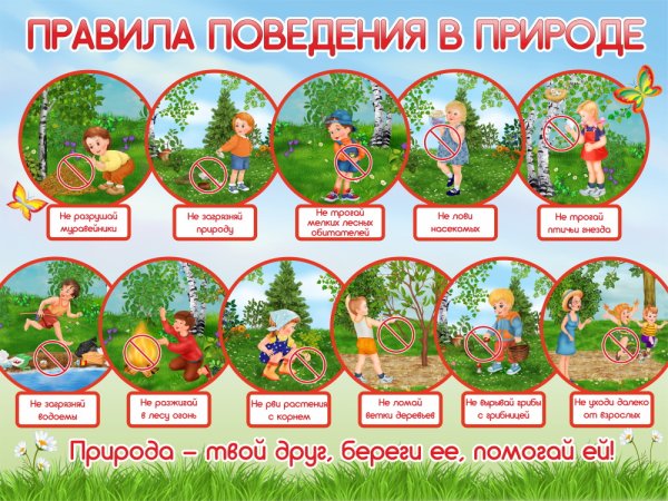 Правила поведения вмприроде