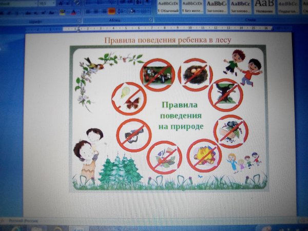 Памятка правила поведения на природе плакат
