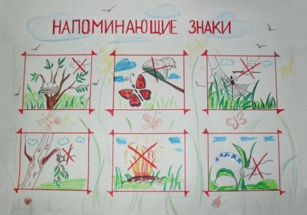 Правила поведения на природе рисунок