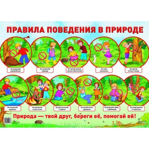 Правила поведения на природе