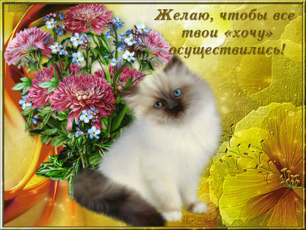 Открытки всего самого доброго и хорошего