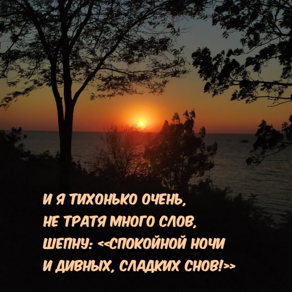 Спокойной весенней ночи