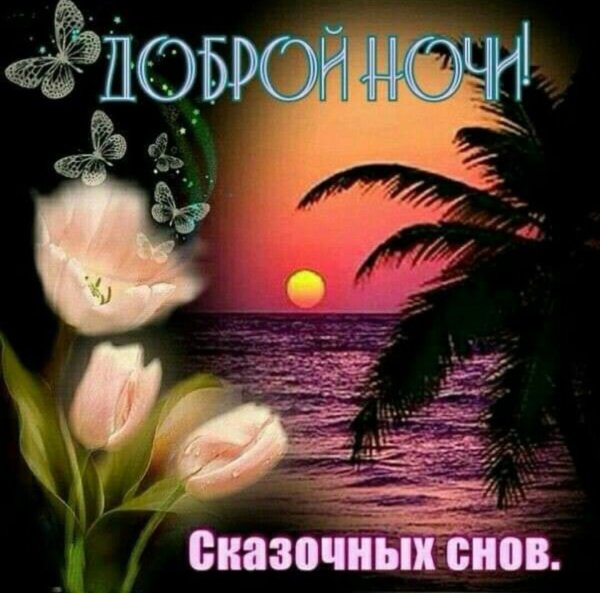 Доброй ночи сладких снов