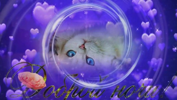 Доброй ночи красивых снов