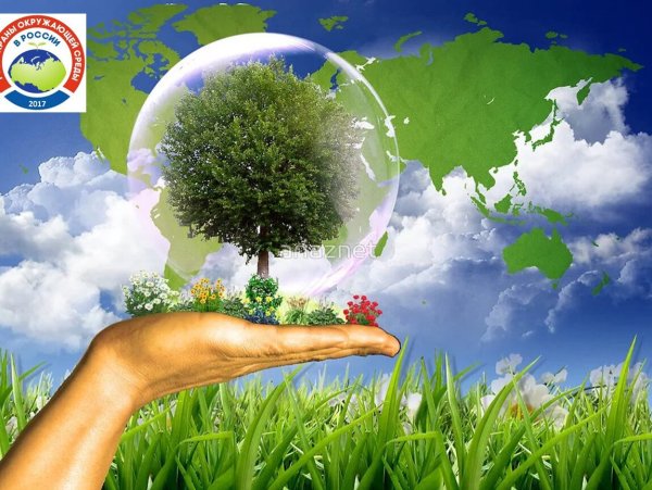 Защита природы