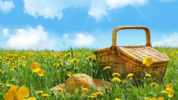 Эколята защитники природы