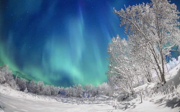 Северное сияние в Мурманске