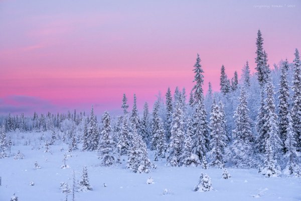Териберка Северное сияние
