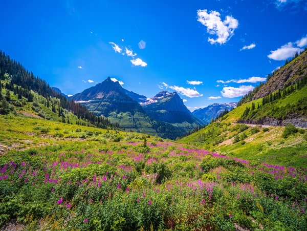 Альпийские Луга новая Зеландия