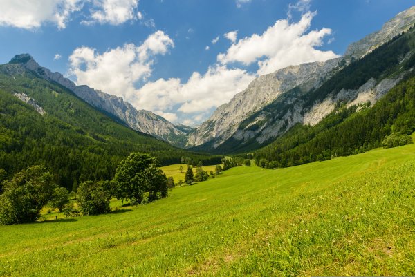 Природа Швейцарии Альпы