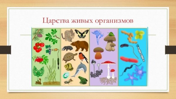 4 Царства живой природы 5 класс биология