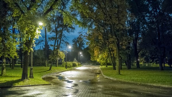 Ночной Питер парк