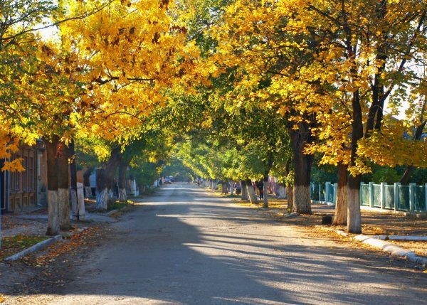 Город Белгород осень