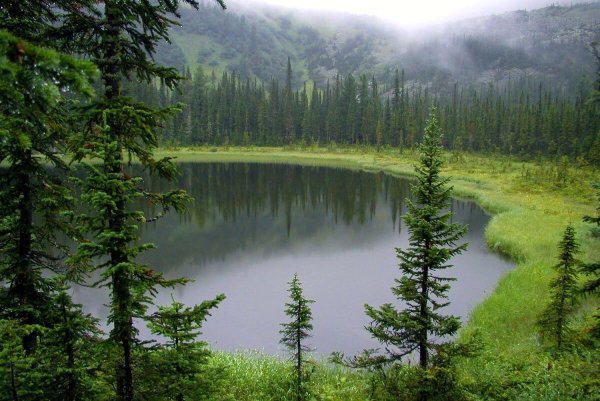 Сибирь Дикая природа