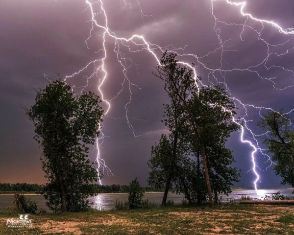 Молния в природе