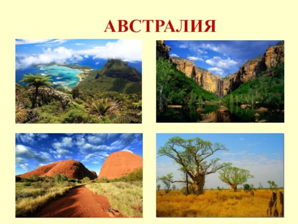 Растения и животные на разных материках