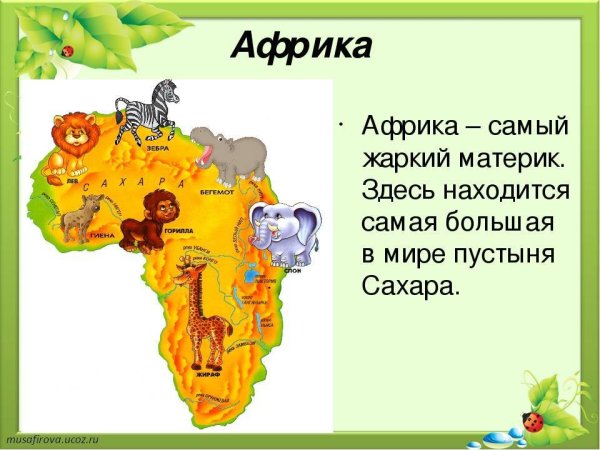 Материк Африка для детей