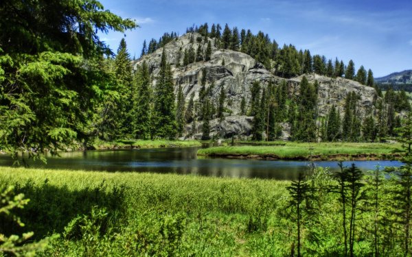 Национальный парк Wilderness
