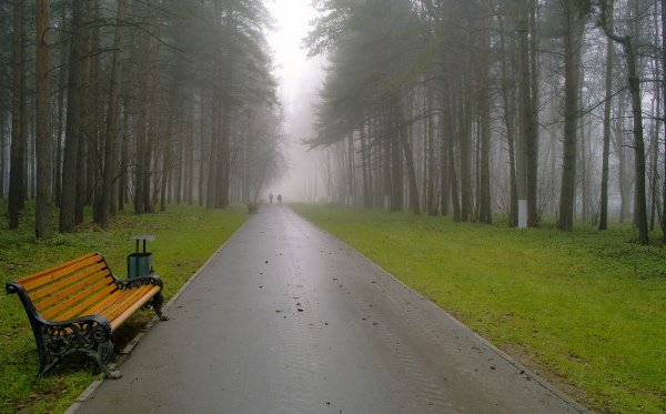 Пейзаж в перспективе