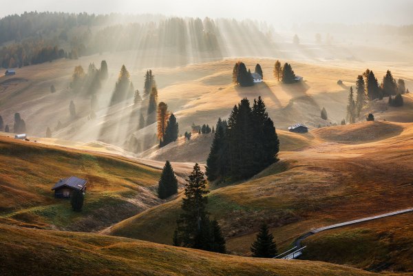 Дорога в сказочный лес