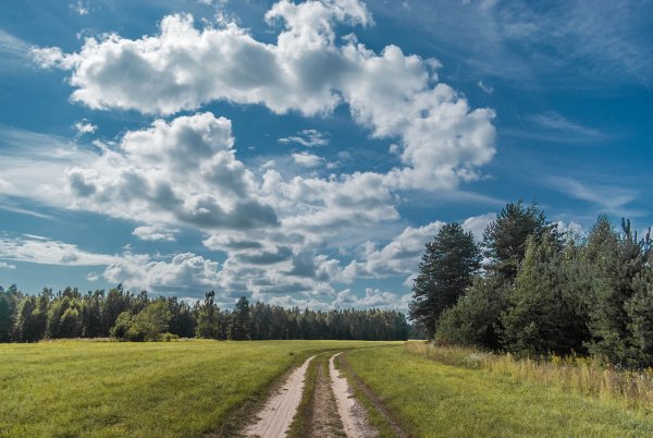 Пейзажи карандашом легкие